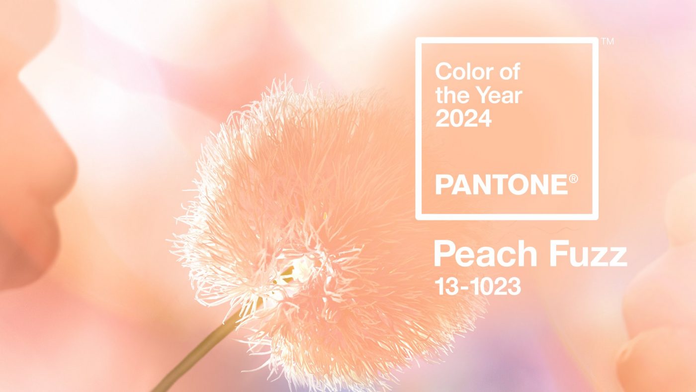 芯泳空間： Pantone 2024擁抱溫暖 Peach Fuzz